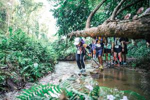 BIB: 
                            <button type="button" onclick="openModal(25472095)" class="btn btn-primary btn-sm float-right btn-popup" data-toggle="modal" data-target=".modal-high-quality">
                        <i class="fas fa-shopping-cart"></i> Add to Cart
                    </button>
                                            <button type="button" onclick="isThisMe(25472095, true)" class="btn btn-success btn-sm float-right btn-popup btn-isme hidden" data-toggle="tooltip" data-placement="bottom" title="นี่คือรูปของคุณใช่ไหม คลิกที่นี่เพื่อเอาเข้าอัลบั้ม">
                        <i class="fas fa-plus"></i> Add to album
                    </button>
                    <button type="button" onclick="isThisMe(25472095, false)" class="btn btn-warning btn-sm float-right btn-popup btn-isnotme hidden">
                        <i class="fas fa-ban"></i> Remove from album
                    </button>